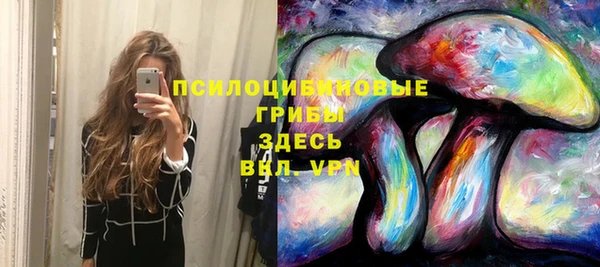 ешки Володарск