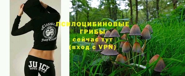 ешки Володарск