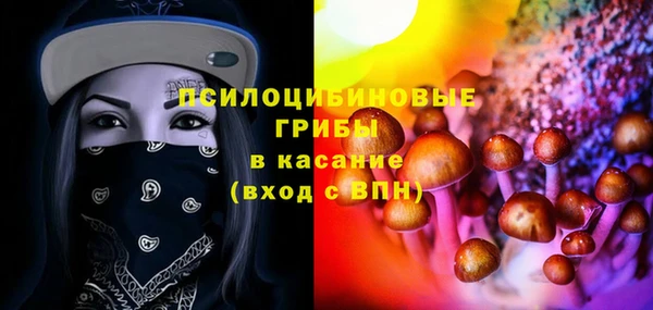 ГАЛЛЮЦИНОГЕННЫЕ ГРИБЫ Волоколамск