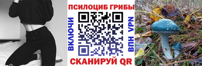 Галлюциногенные грибы Magic Shrooms  Купить где  Карабаново 