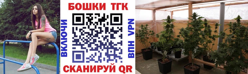 Марихуана OG Kush  Купить закладки  Карабаново 